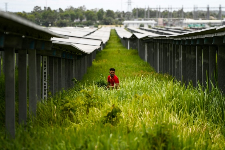 Vietnam ups wind, solar targets as energy demand soars