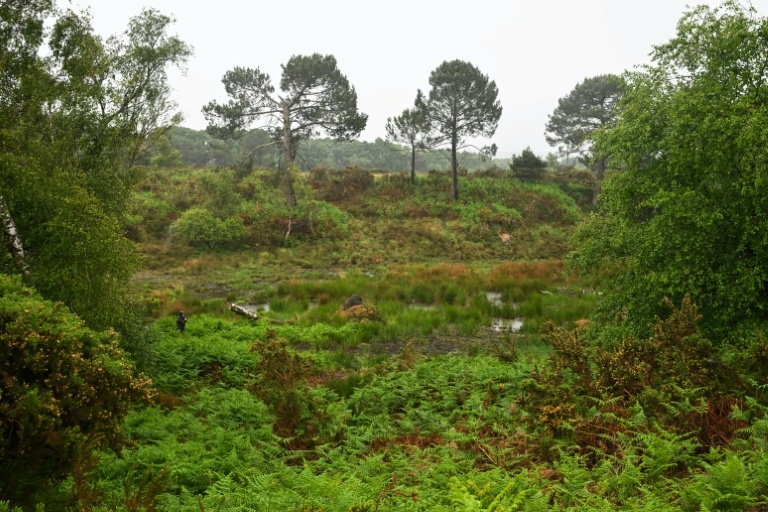 Mapping Ireland's peatlands to help cut carbon emissions