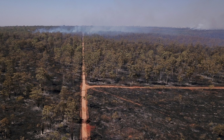 Countries could use forests to 'mask' needed emission cuts: report