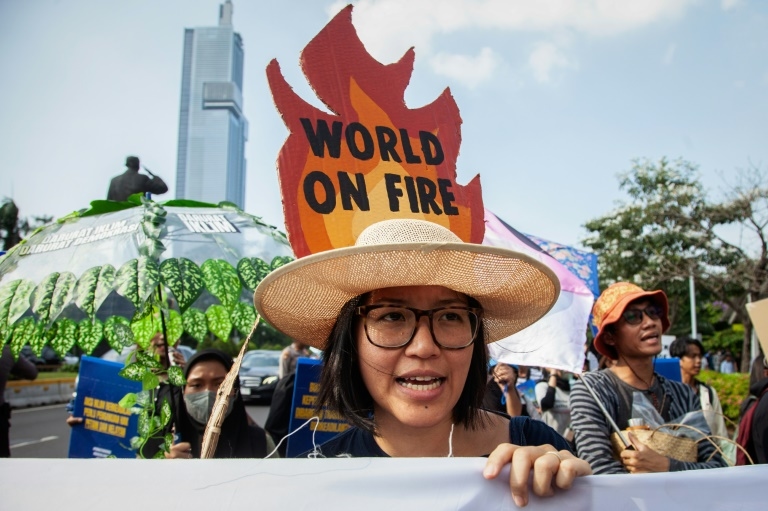Indonesia backs climate deals after envoy's Paris skepticism