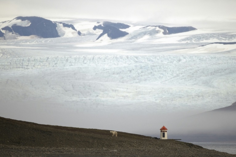 Arctic warming spurs growth of carbon-soaking peatlands