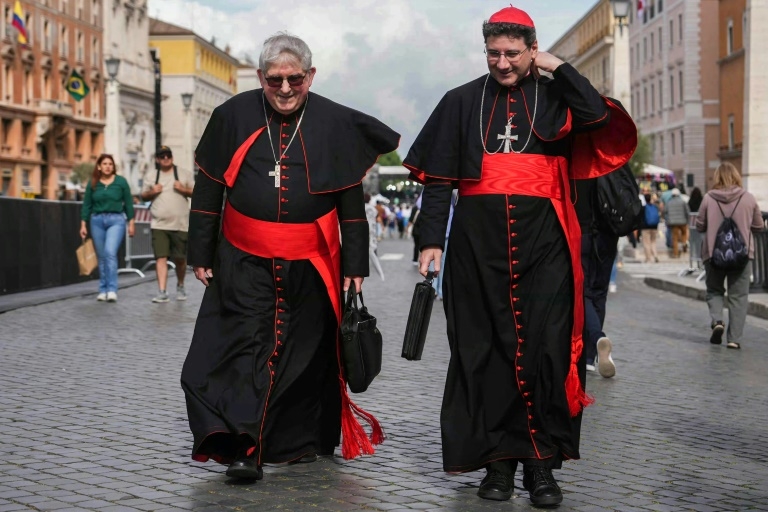 What's a cardinal? The 'princes' of the Church electing a new pope