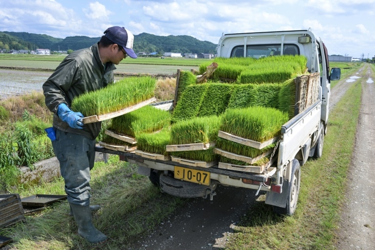 Rice prices double in Japan as inflation accelerates