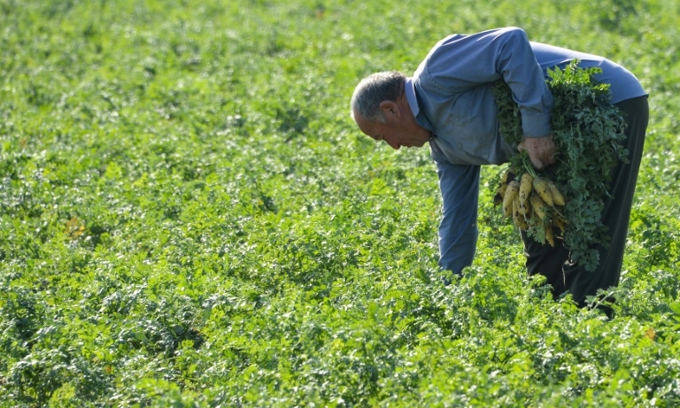 Crops under threat as surprise March heatwave hits Central Asia: study
