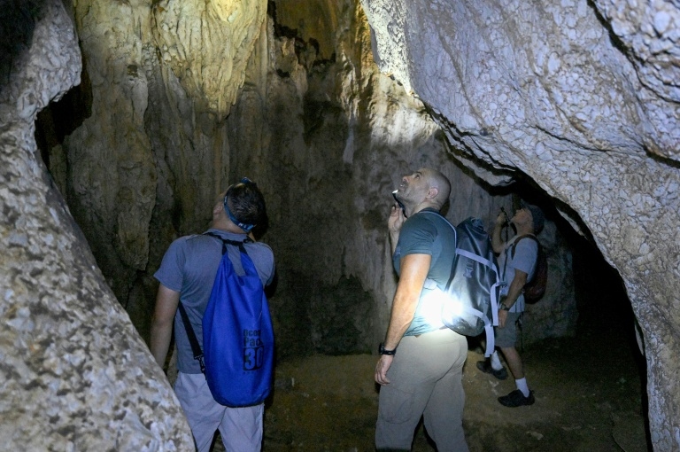 New species teem in Cambodia's threatened karst
