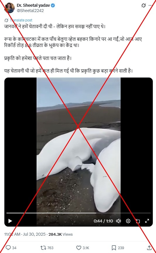 Baseless posts of stranded whales 'warning about Russian earthquake' spread online