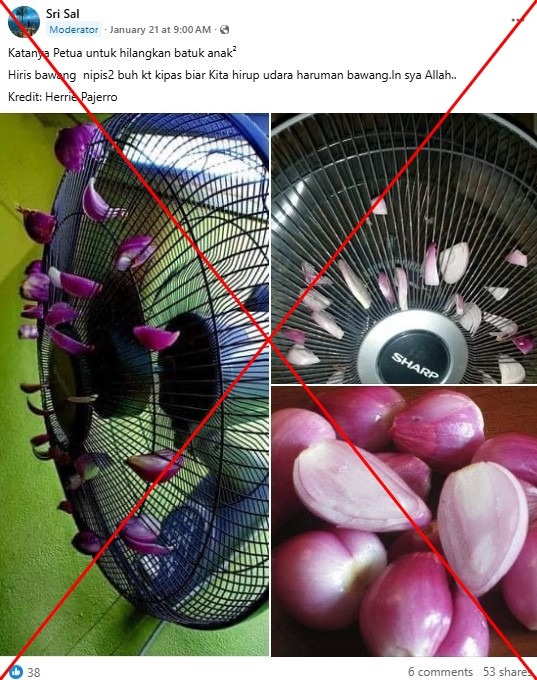 Paediatricians warn against using onion fumes as cough remedy