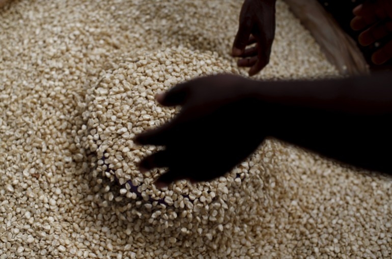 ‘We need our bananas back': Traders left in limbo amid Malawi-Tanzania spat