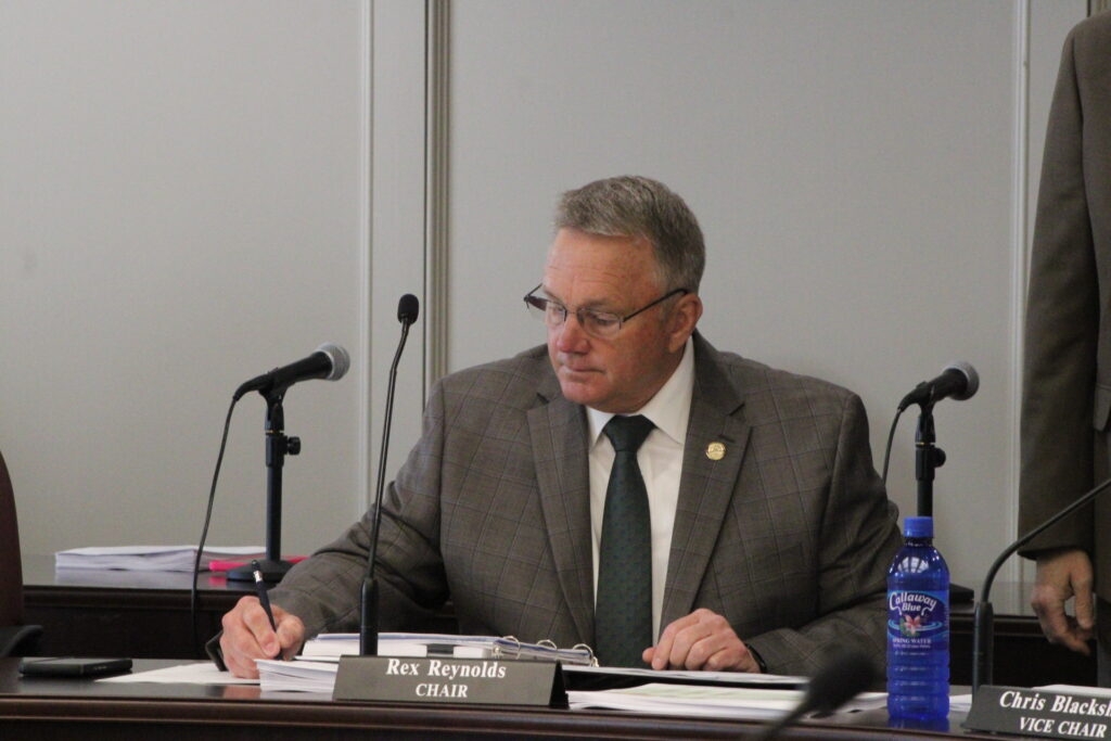 Alabama Senate committee hearing on police immunity bill draws critics