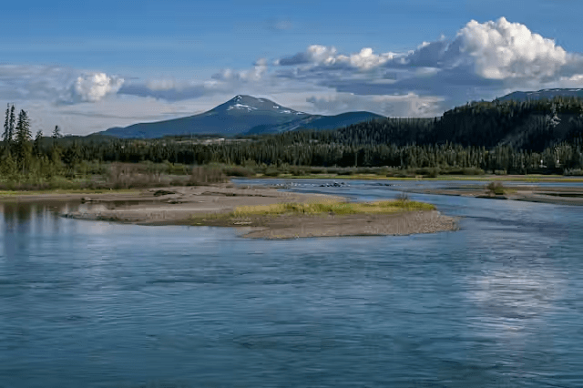 Zombie water apocalypse: Is Trump's rhetoric over Canada's water science-fiction or reality?
