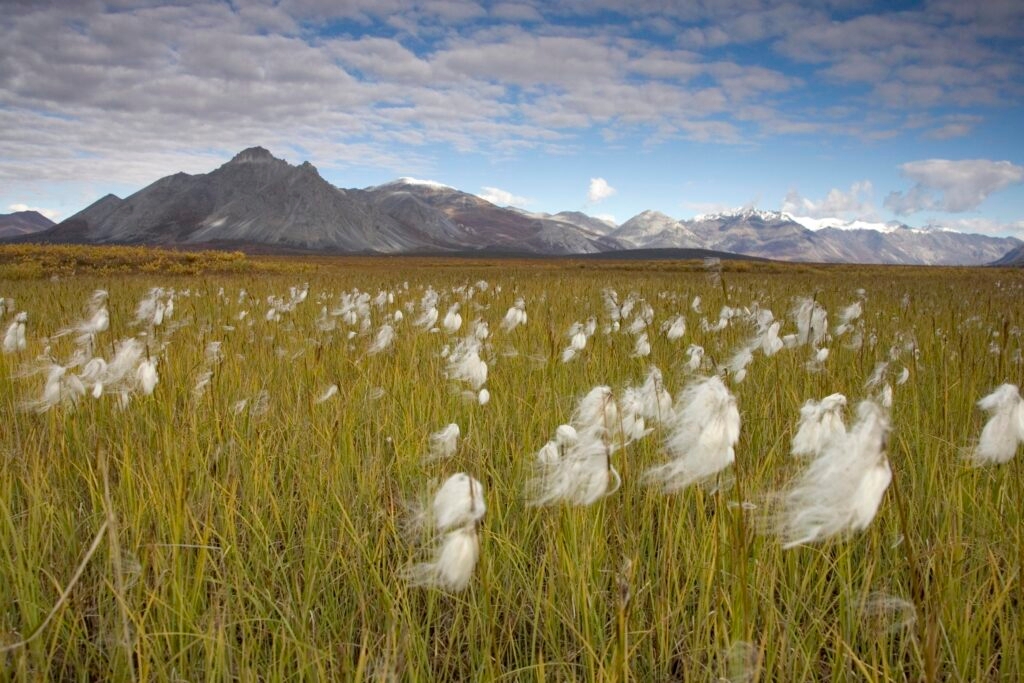 Arctic refuge oil exploration could begin as soon as this winter, court documents indicate