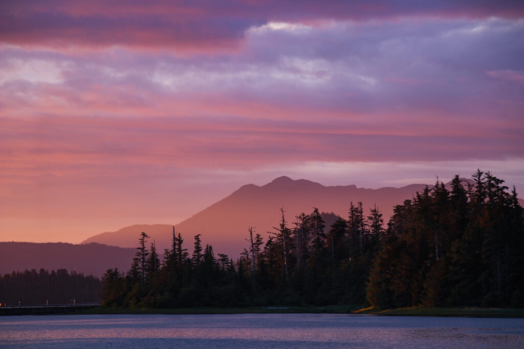 Why there won't be significant logging in the Tongass