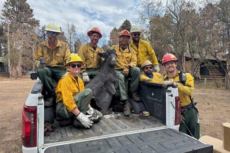 A Grand Canyon mascot is recovered from the rubble. Can Brighty the Burro be restored?