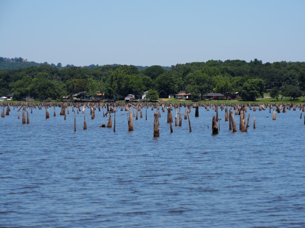 Arkansas to test surface waters for PFAS, identify contamination sources