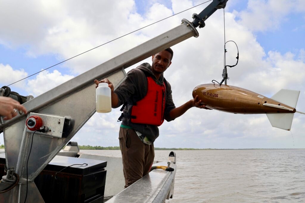 Mississippi River loses most of its sediment, and land-building ability, before reaching the Gulf