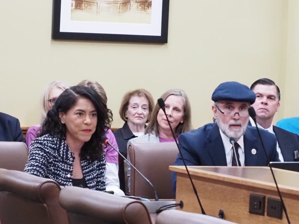 Proposed ban on noncitizen voting, already illegal, passes Arkansas House committee