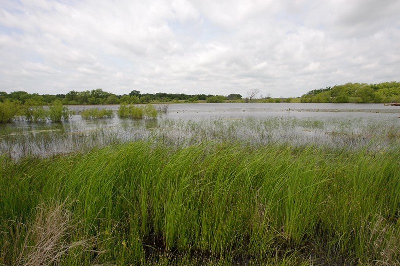 Arkansas water quality rules, urgent care access changes held for further review by lawmakers