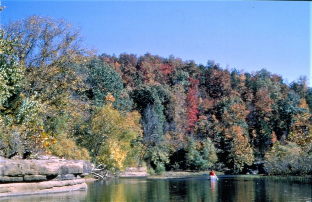 New Arkansas environmental laws address waste application, Buffalo wastershed
