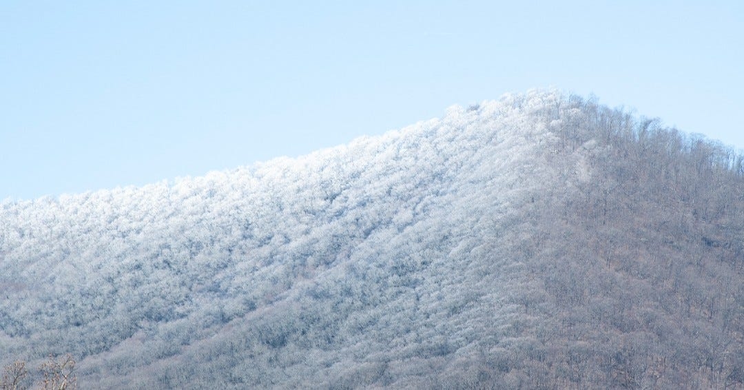 Will it be a cold winter in NC, Asheville? Here are NOAA's long-range predictions
