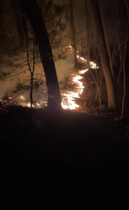 'Leave now': Polk County wildfire triples in 8 hours; fires burn over 2,000 acres
