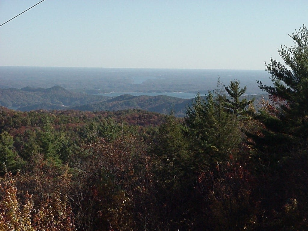 WNC's hidden gem: sprawling rainforest of waterfalls is among most biodiverse in NC
