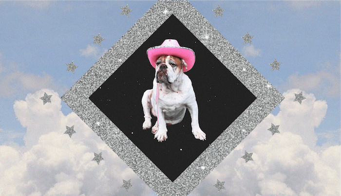 Your Daily DogScope for May 25, 2025