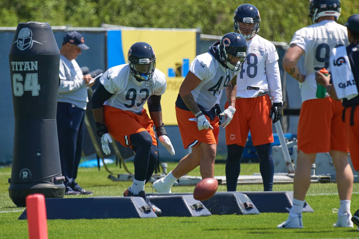 Chicago Bears Rookie Colston Loveland Climbs Jersey Sales Rankings