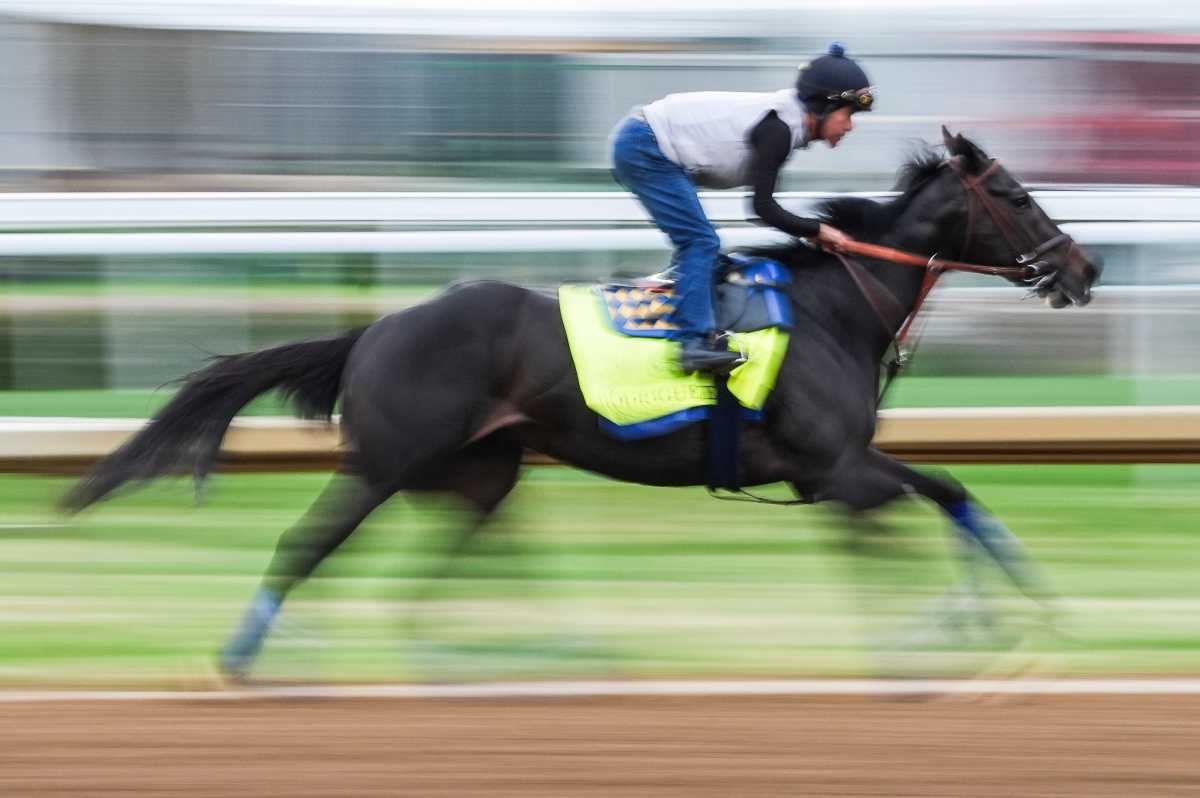 Belmont Stakes 2025 Results & Payouts After Sovereignty's Big Win