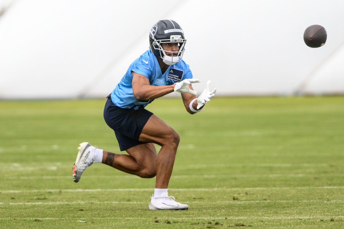 Former Titans Wide Receiver Gives His Thoughts on Elic Ayomanor