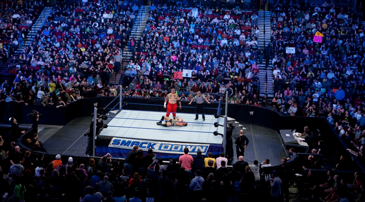 Injured WWE Star May Be Sidelined For Rest Of Year
