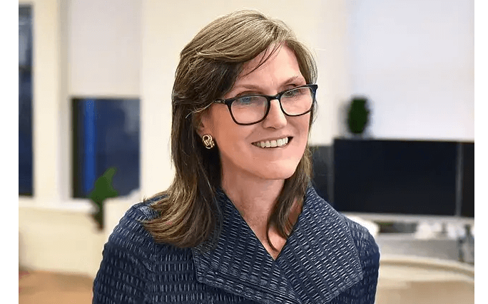 If You Can Only Buy 1 Cathie Wood Stock in 2025, It Should Be This