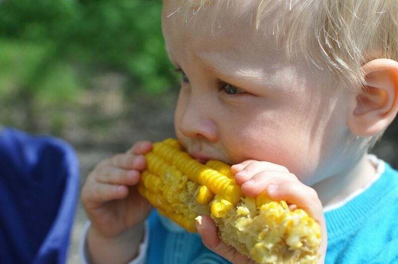 Corn Edging Out Gains on Wednesday Morning