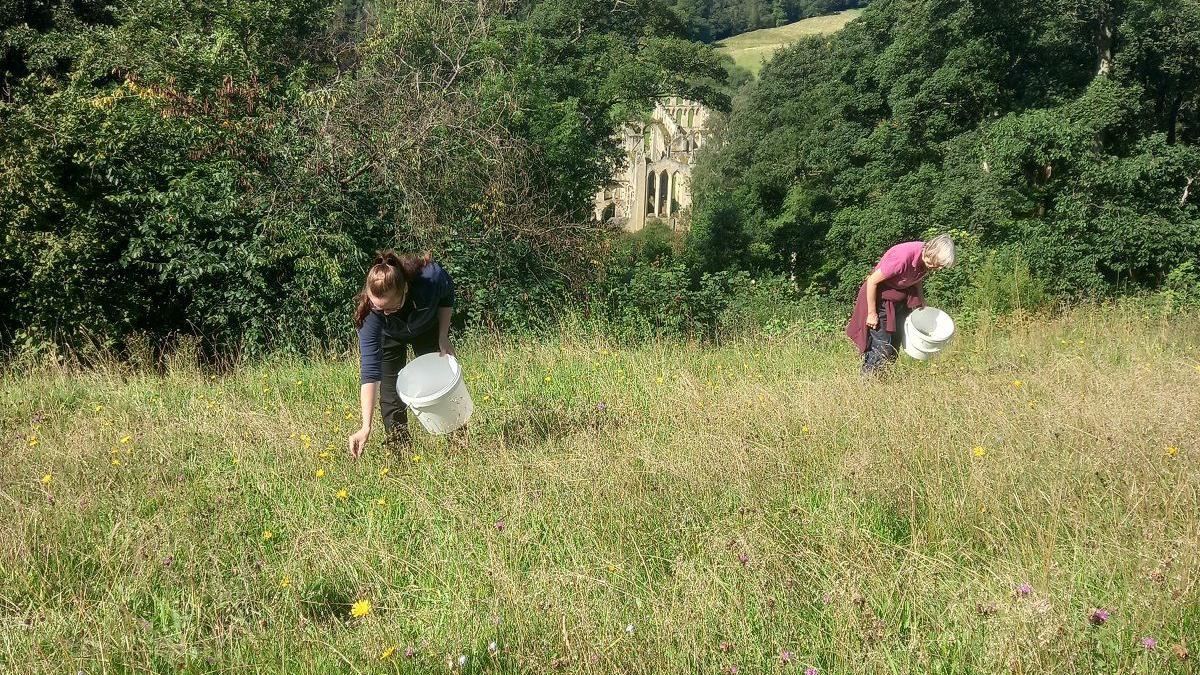 Project to create new 'insect superhighways'