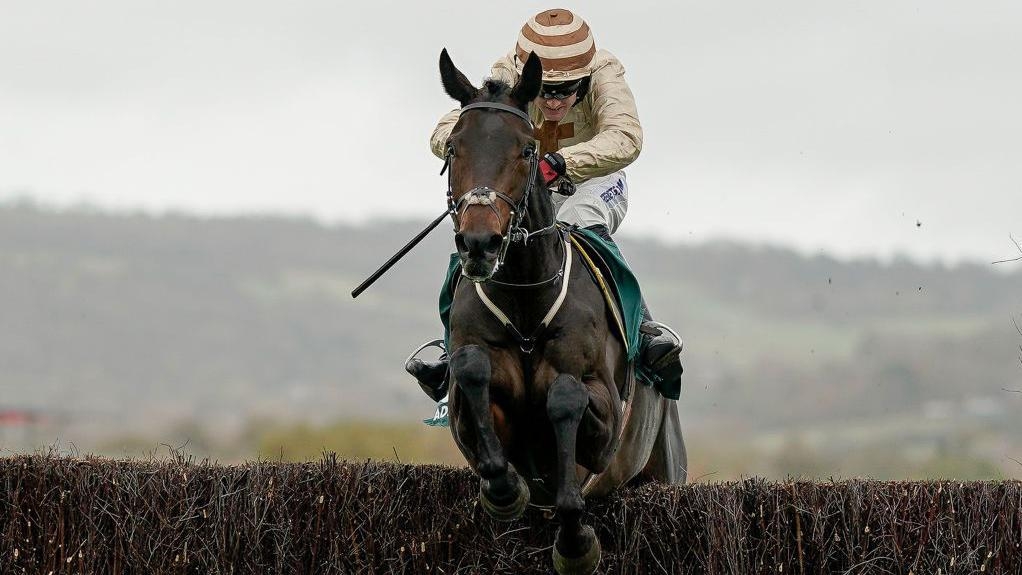 Broadway Boy heads home after Grand National fall