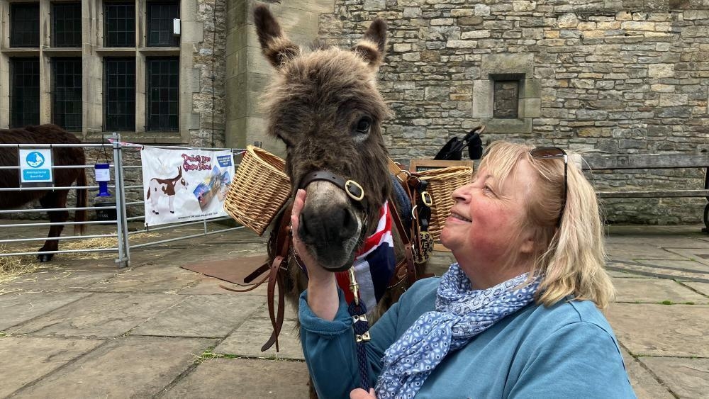 Donkey display highlights role of animals in wartime