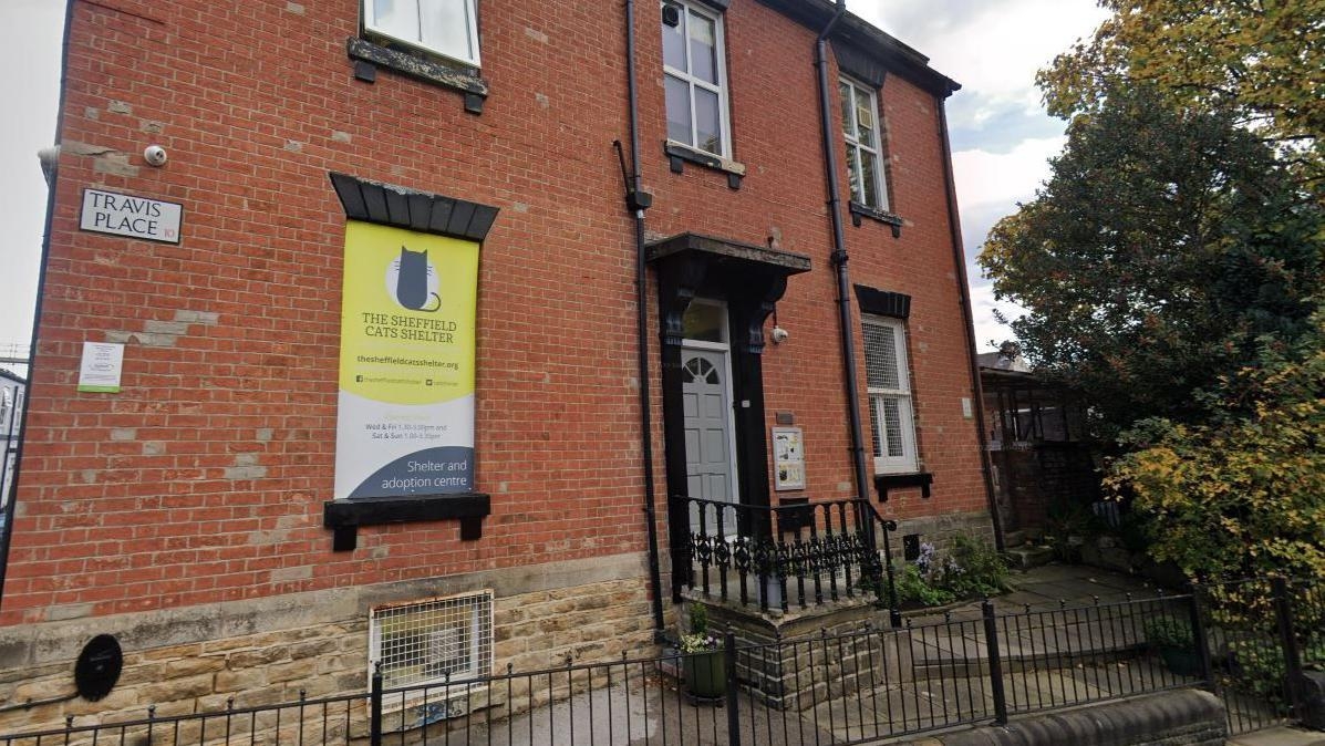 Cat sanctuary bids to move out of 'crumbling' home