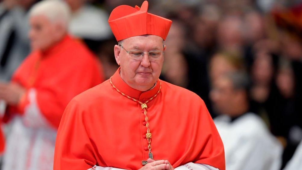 Who is Cardinal Kevin Farrell, the acting head of the Vatican?