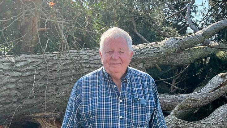 Neighbour wants answers over club's fallen tree