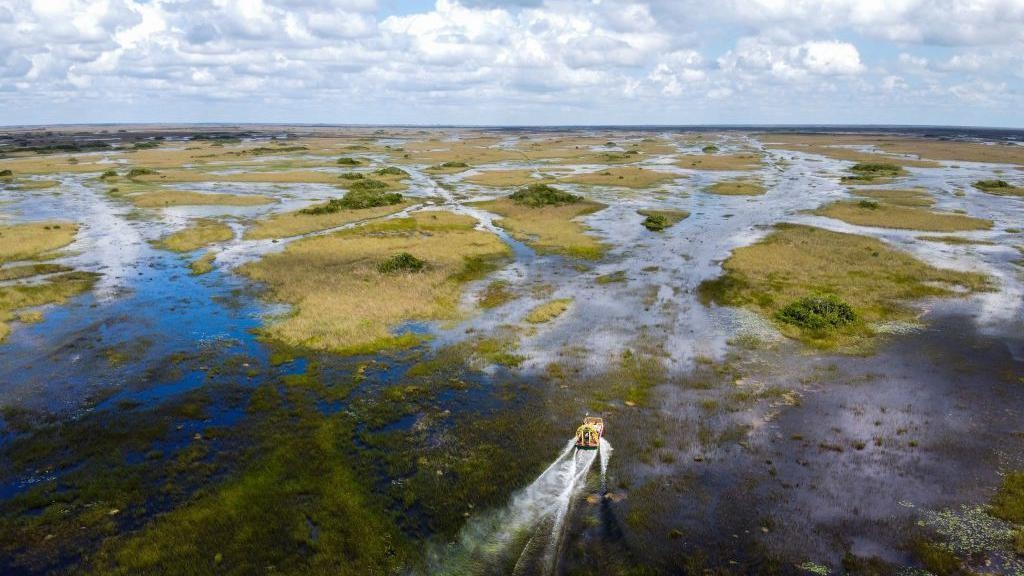 Florida plans 'Alligator Alcatraz' migrant detention centre in Everglades