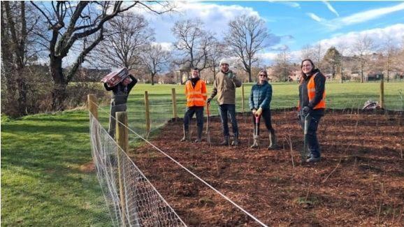 Micro forest of native trees planted in town park