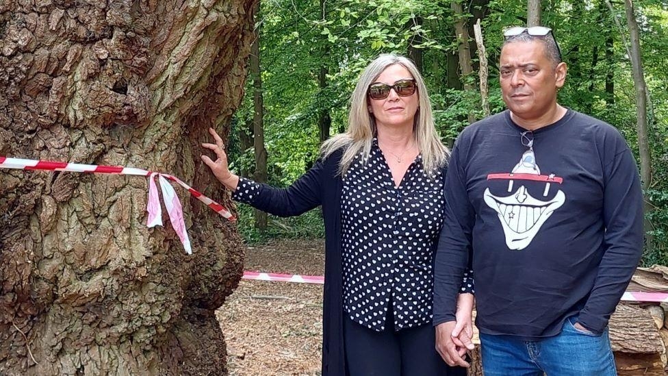 Where the ancient tree felled by Toby Carvery once stood, people are reeling