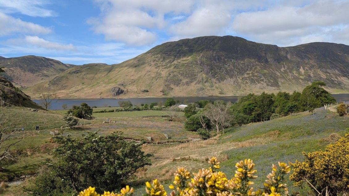 Consultation begins on nature recovery project
