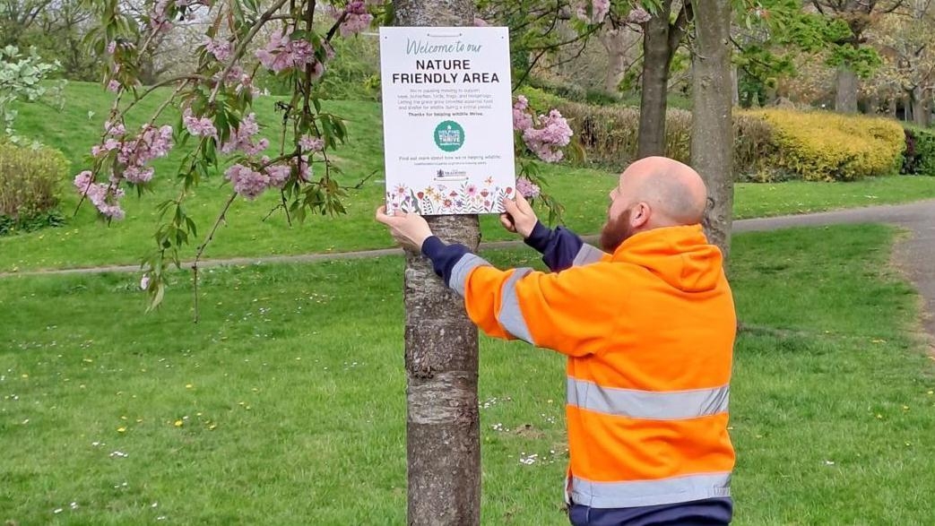 Council to 'naturalise' city's green spaces