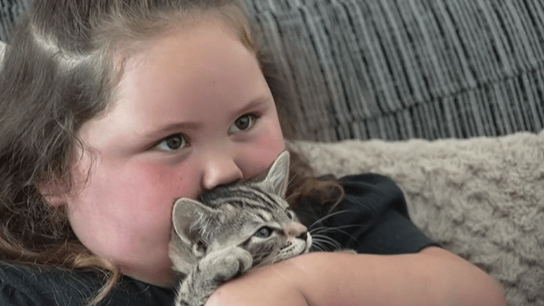 Girl, 3, abused online after dog attack