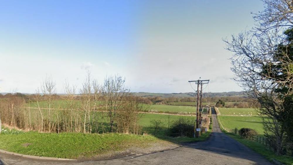 Plans for 20,000 plot natural burial ground