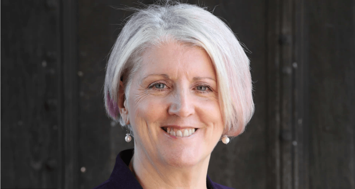 Chair of the Glastonbury Town Deal board resigns