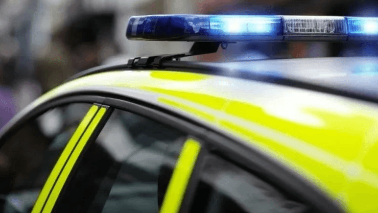 Police officer reinstated after using racial slur