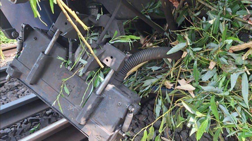 Train damaged and stuck after hitting tree