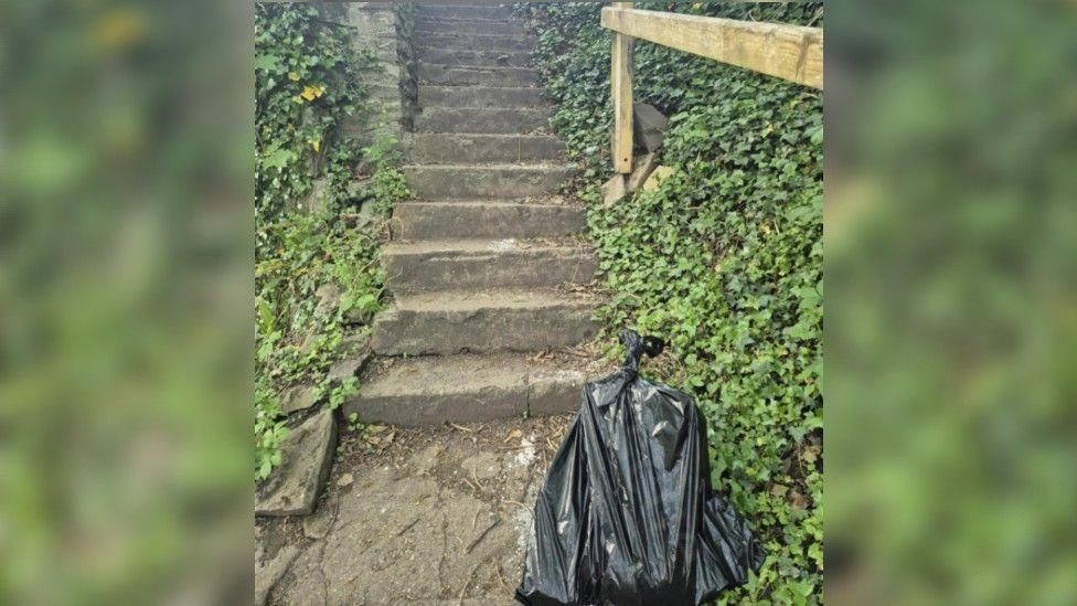 Investigation after dead cat found in bin bag