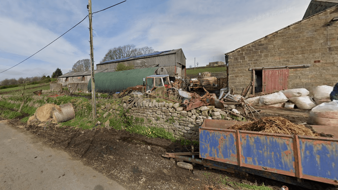 Animal ban for farmer who left cow dead in mud